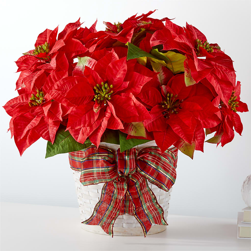 Happiest Holidays Poinsettia – Acuarela Events Inc, Land O Lakes FL