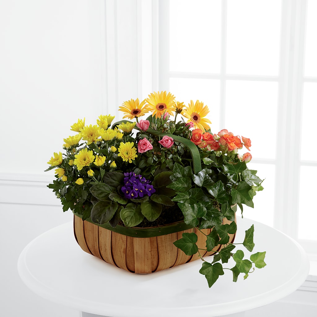 Gentle Blossoms Basket – Acuarela Events Inc, Land O Lakes FL