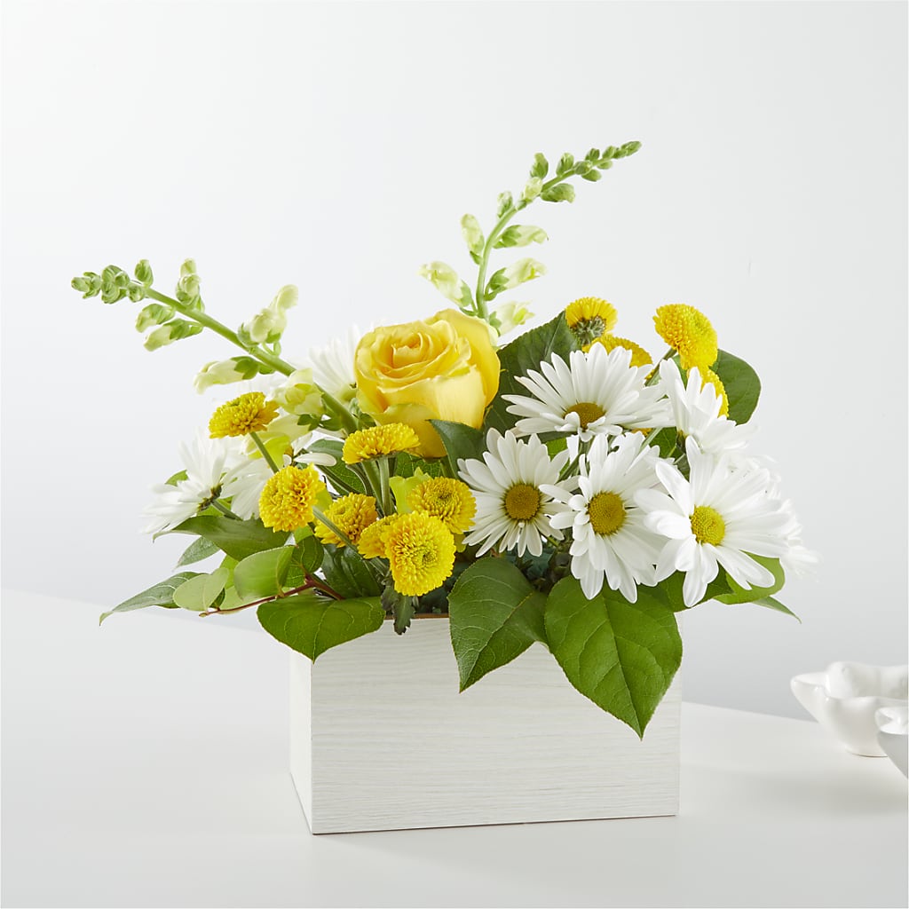 Sun Salutation Box Bouquet – Acuarela Events Inc, Land O Lakes FL