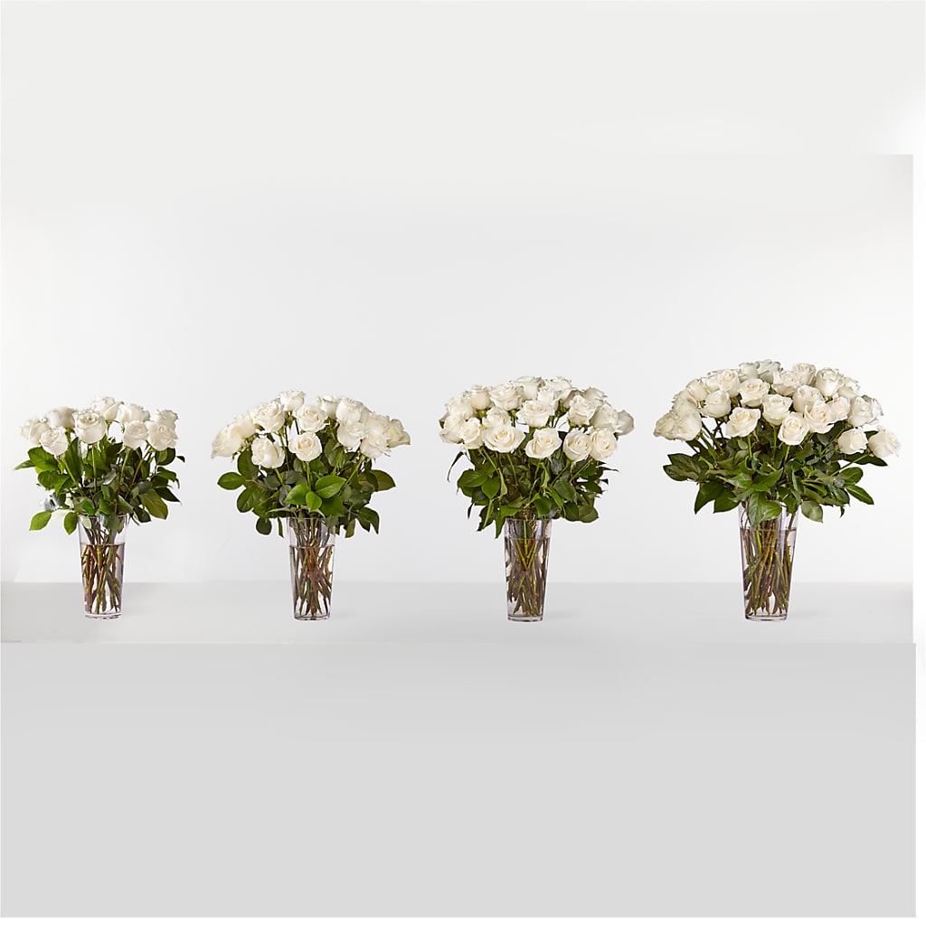 Long Stem White Rose Bouquet – Acuarela Events Inc, Land O Lakes FL