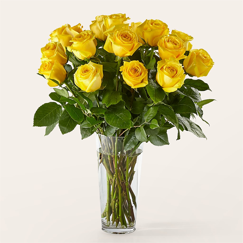 Long Stem Yellow Rose Bouquet – Acuarela Events Inc, Land O Lakes FL