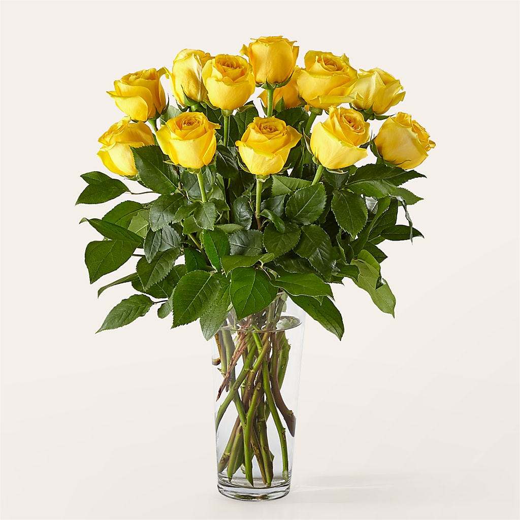 Long Stem Yellow Rose Bouquet – Acuarela Events Inc, Land O Lakes FL