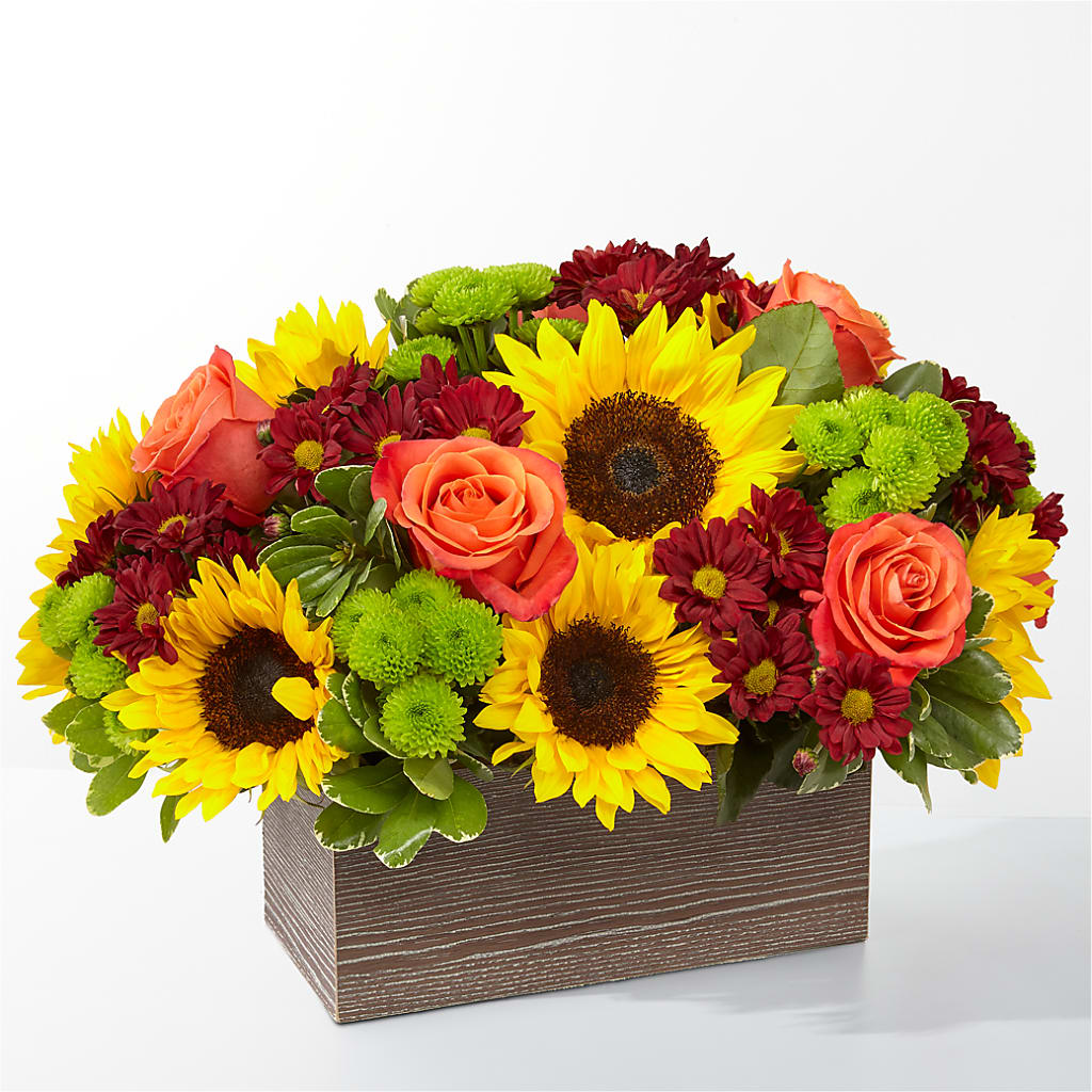 Happy Harvest Garden – Acuarela Events Inc, Land O Lakes FL