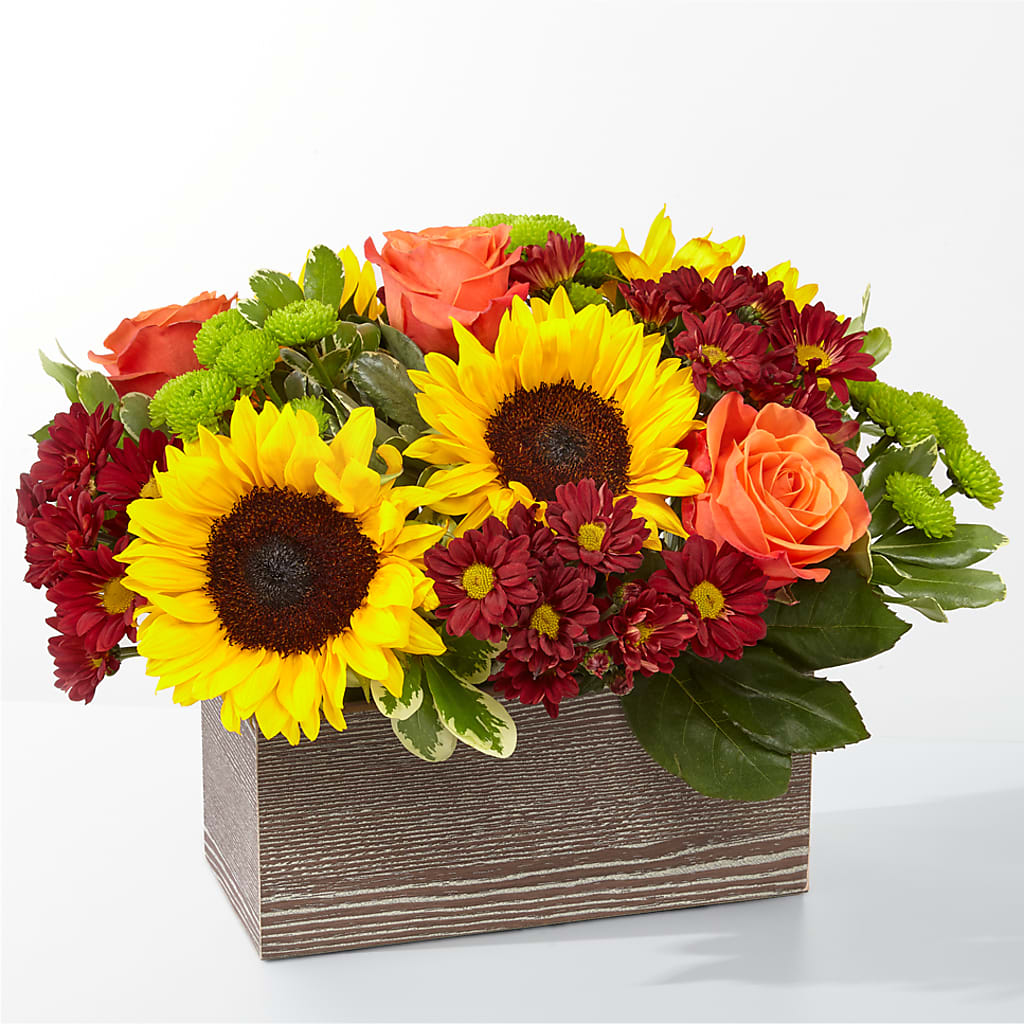 Happy Harvest Garden – Acuarela Events Inc, Land O Lakes FL