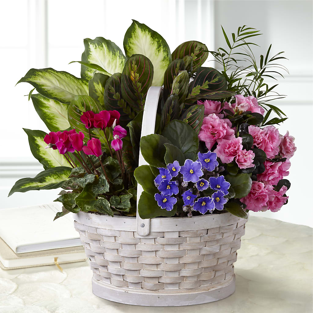 Peaceful Garden Planter – Acuarela Events Inc, Land O Lakes FL