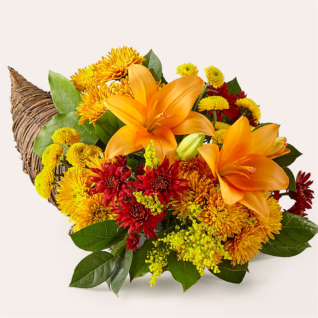 Feast of Color Cornucopia – Acuarela Events Inc, Land O Lakes FL