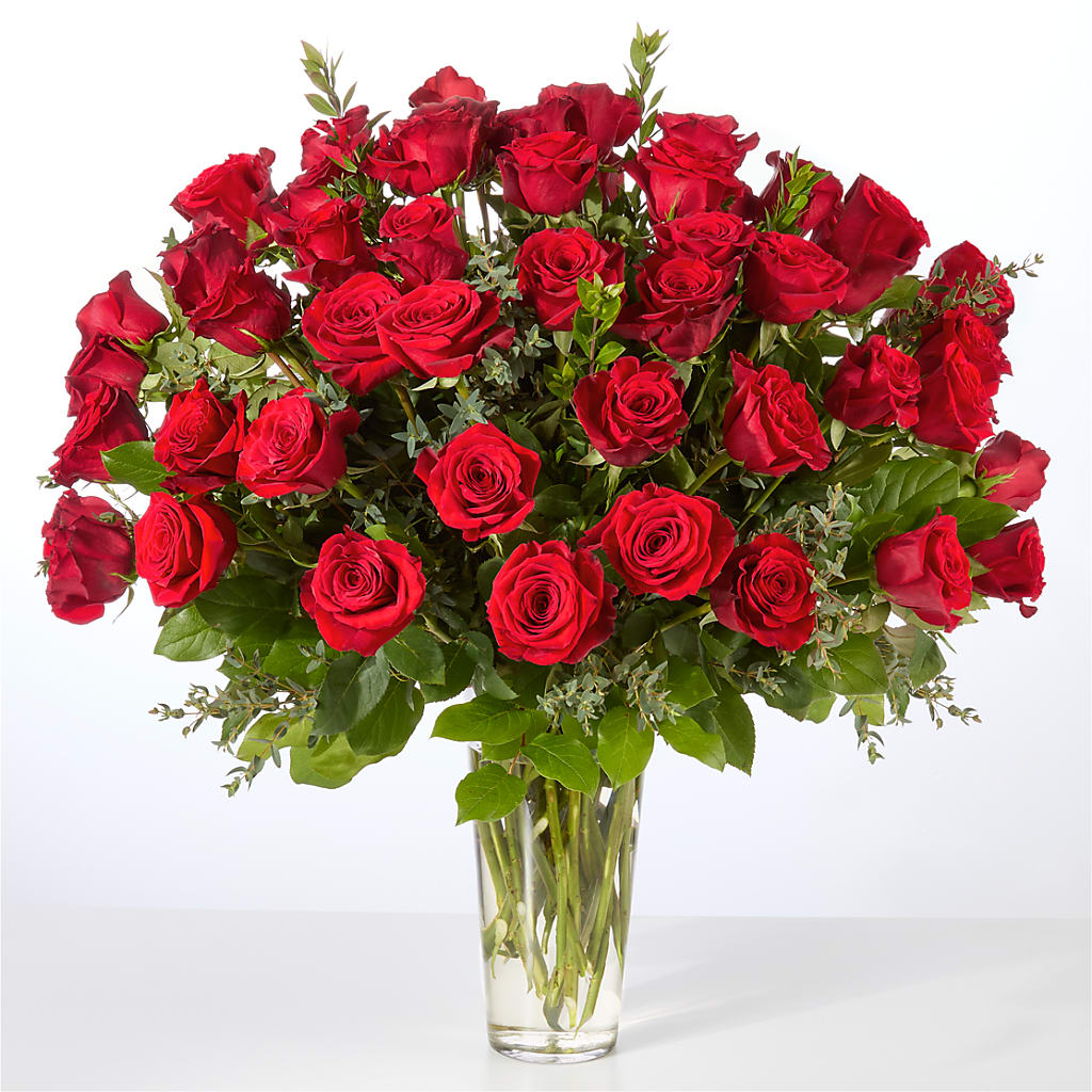 Forever Yours Fifty Stem Red Rose Bouquet – Acuarela Events Inc, Land O Lakes FL