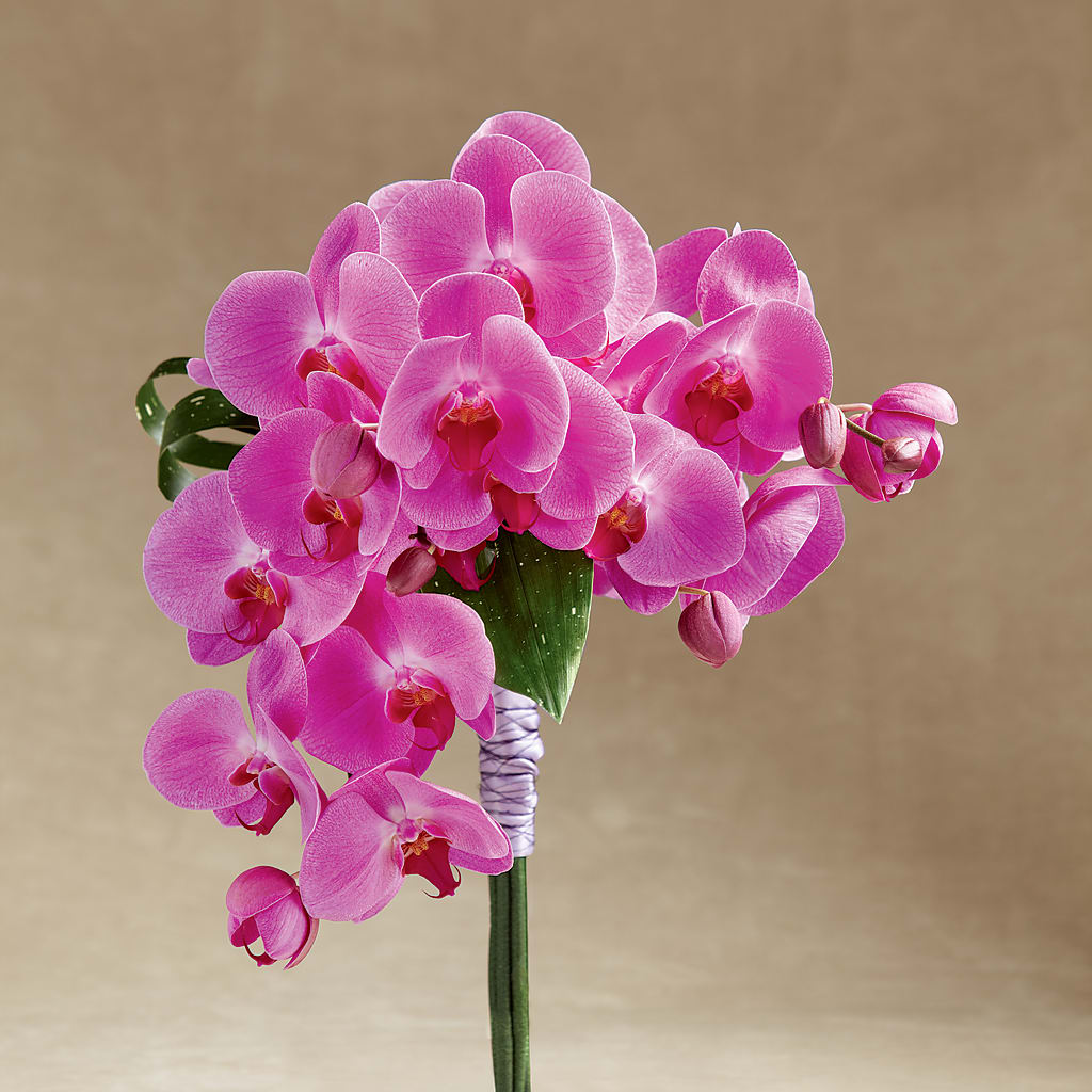 Glorious Bouquet – Acuarela Events Inc, Land O Lakes FL