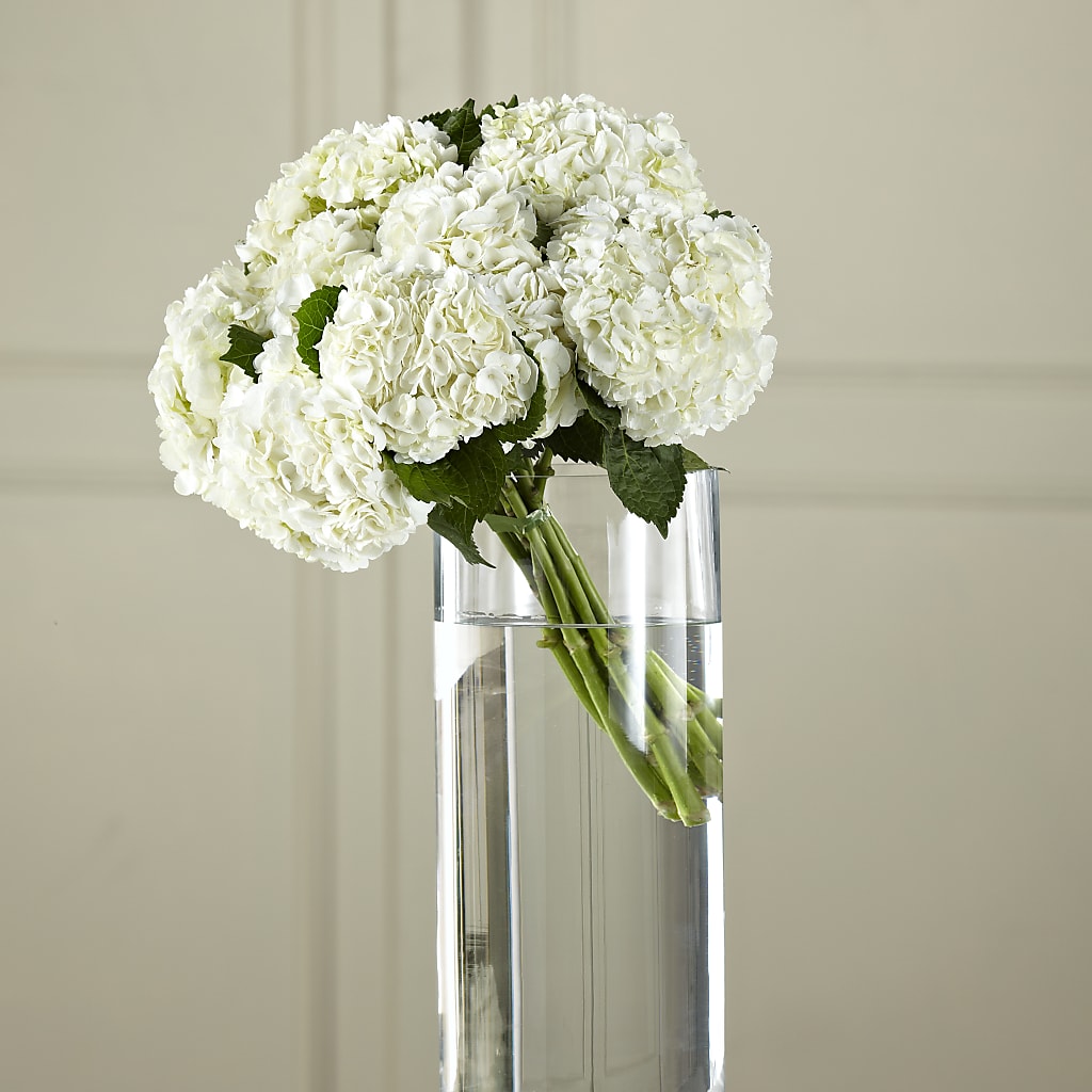 White Hydrangea Hand-Tied Bouquet – Acuarela Events Inc, Land O Lakes FL