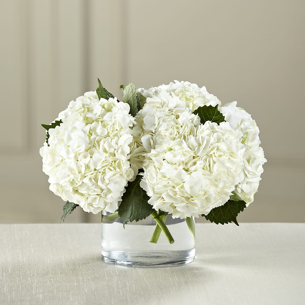 White Hydrangea Bouquet – Acuarela Events Inc, Land O Lakes FL