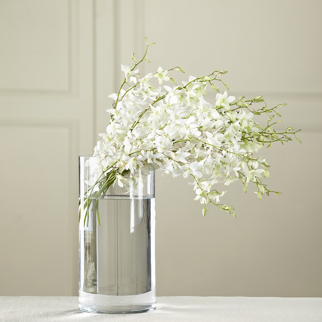 White Dendrobium Bouquet – Acuarela Events Inc, Land O Lakes FL
