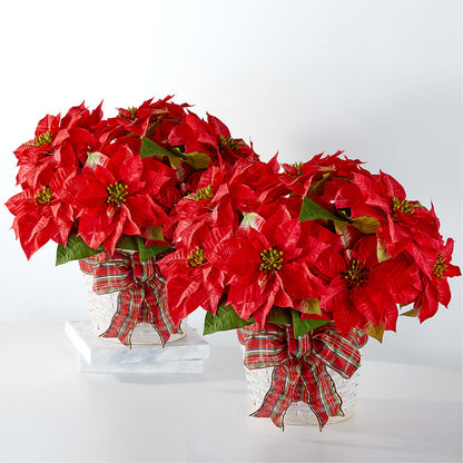 Happiest Holidays Poinsettia Bundle –  Acuarela Events Inc, Land O Lakes FL
