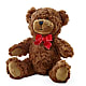 Adorable Plush Bear –  Acuarela Events Inc, Land O Lakes FL