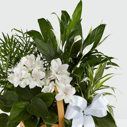 Peace & Serenity Dishgarden –  Acuarela Events Inc, Land O Lakes FL