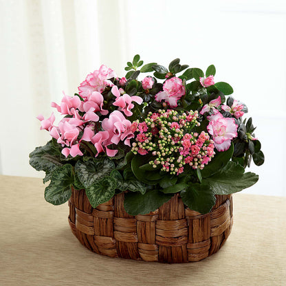 Pink Assortment –  Acuarela Events Inc, Land O Lakes FL