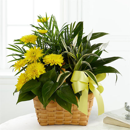 Loving Light Dishgarden –  Acuarela Events Inc, Land O Lakes FL