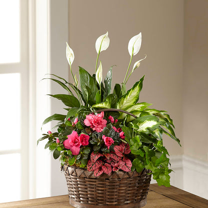 Dream in Pink Dishgarden –  Acuarela Events Inc, Land O Lakes FL