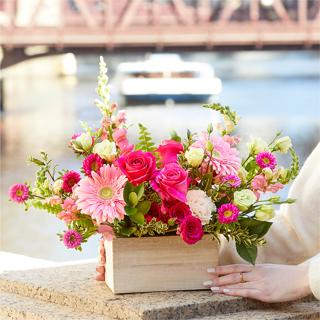 Too Cute Bouquet –  Acuarela Events Inc, Land O Lakes FL