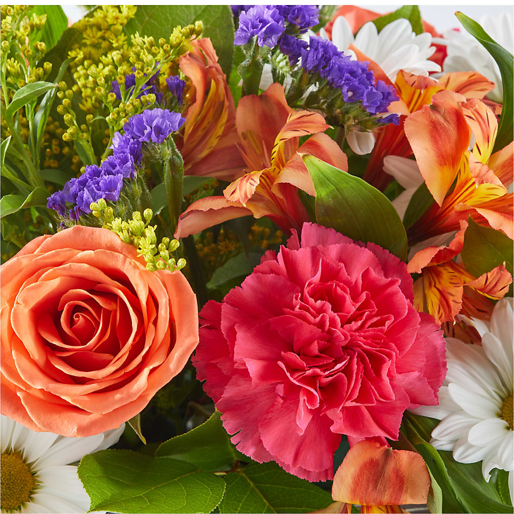 Oopsie Daisy Box Bouquet –  Acuarela Events Inc, Land O Lakes FL