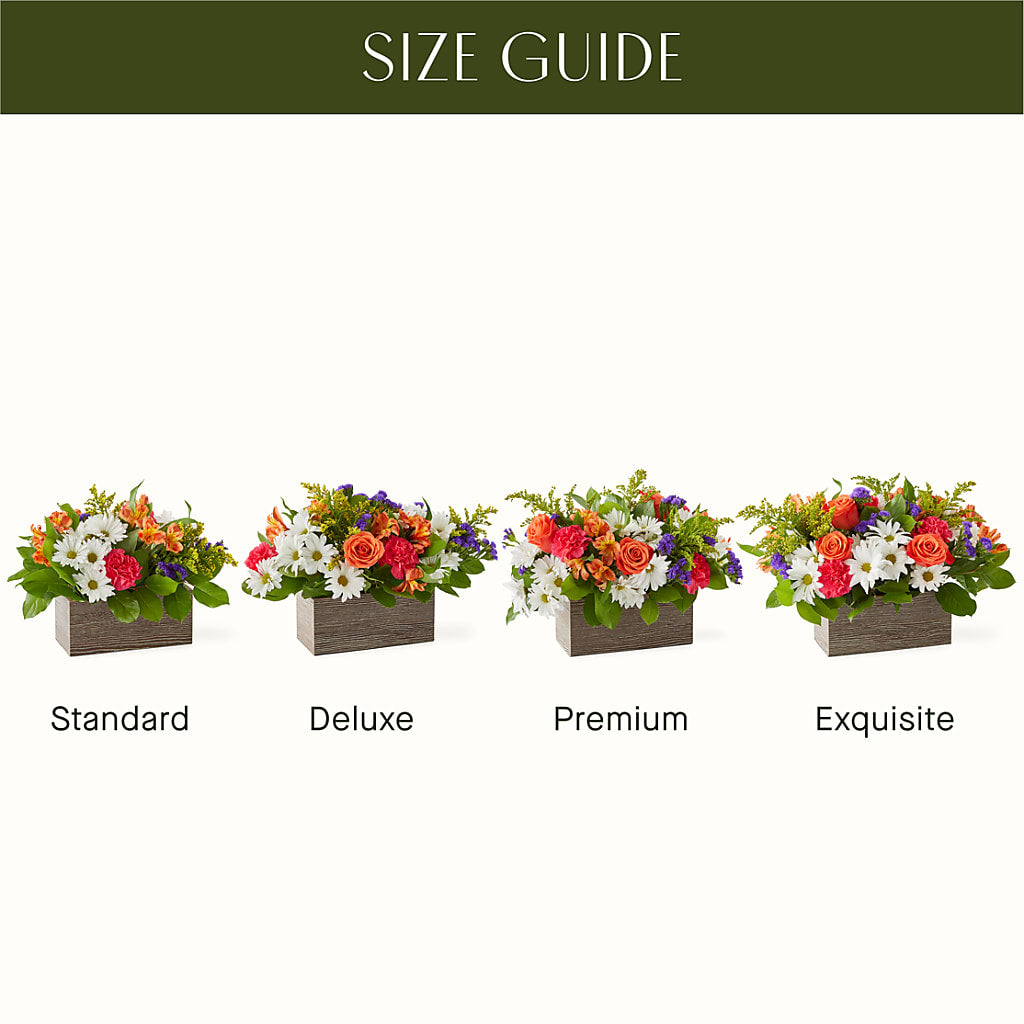 Oopsie Daisy Box Bouquet –  Acuarela Events Inc, Land O Lakes FL