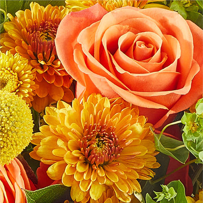 Gourdgeous Pumpkin –  Acuarela Events Inc, Land O Lakes FL
