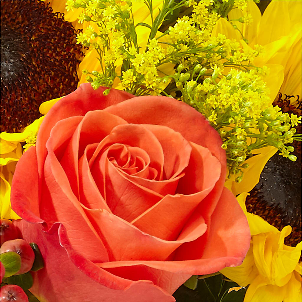 Pick of the Patch Pumpkin Bouquet –  Acuarela Events Inc, Land O Lakes FL
