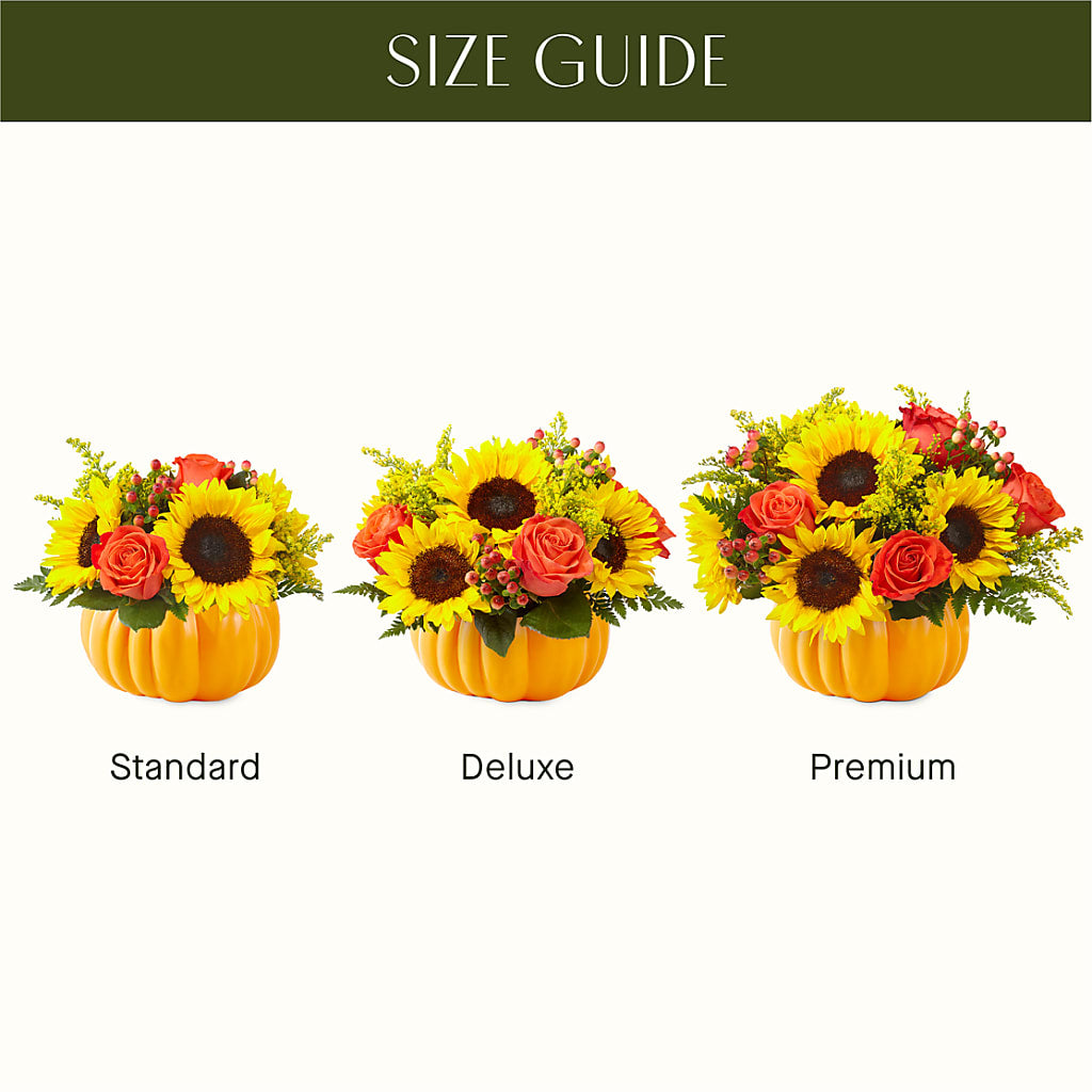 Pick of the Patch Pumpkin Bouquet –  Acuarela Events Inc, Land O Lakes FL