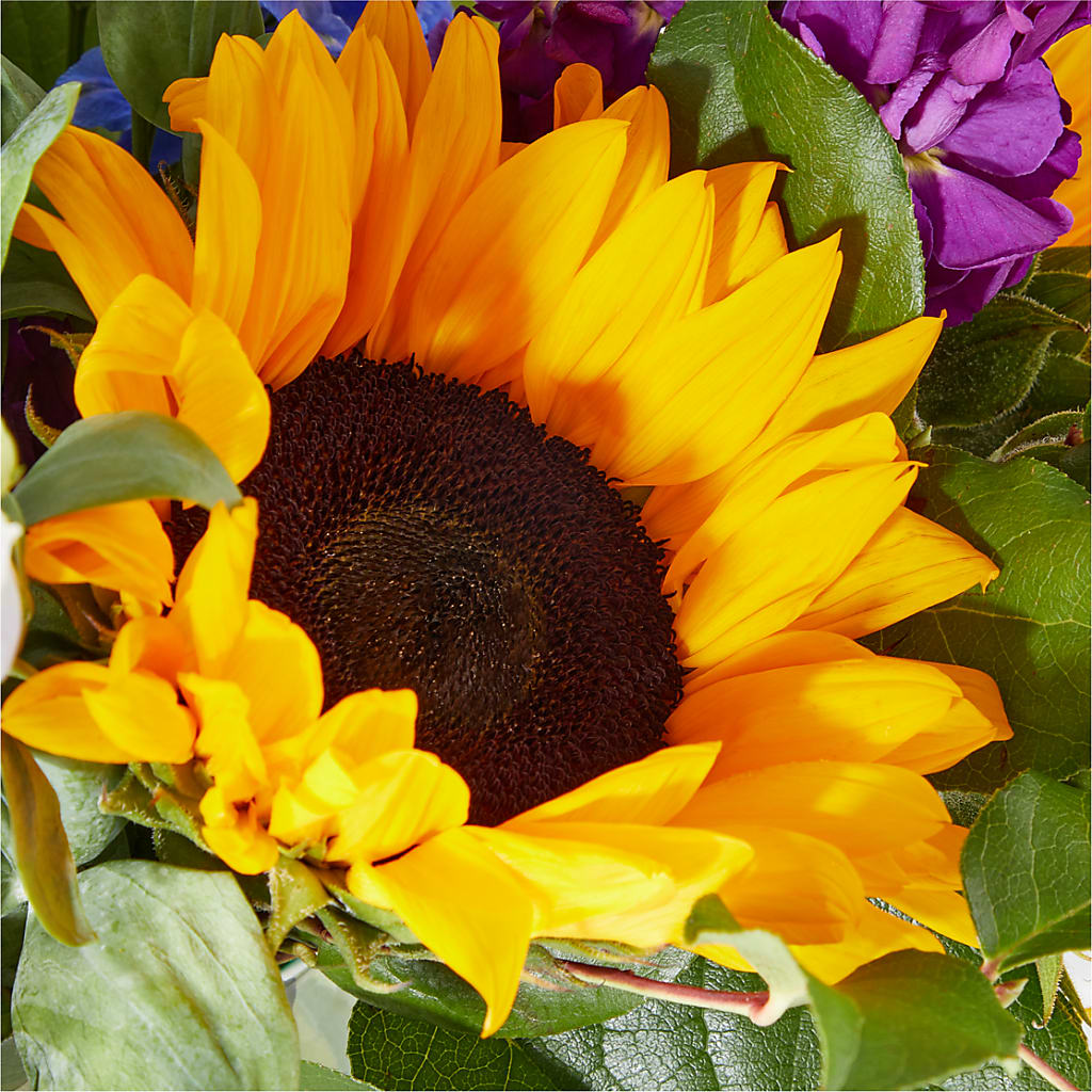 Catching Rays Bouquet –  Acuarela Events Inc, Land O Lakes FL