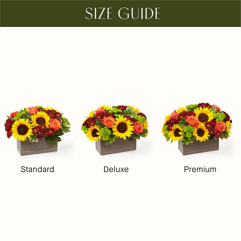 Happy Harvest Garden –  Acuarela Events Inc, Land O Lakes FL