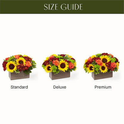 Happy Harvest Garden –  Acuarela Events Inc, Land O Lakes FL