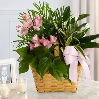 Living Spirit Dishgarden –  Acuarela Events Inc, Land O Lakes FL