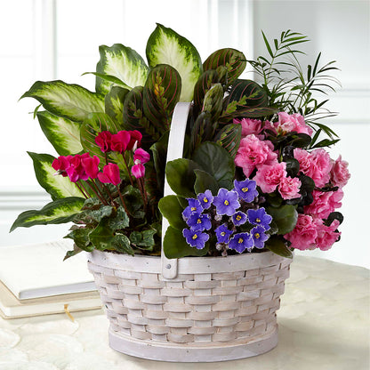 Peaceful Garden Planter –  Acuarela Events Inc, Land O Lakes FL