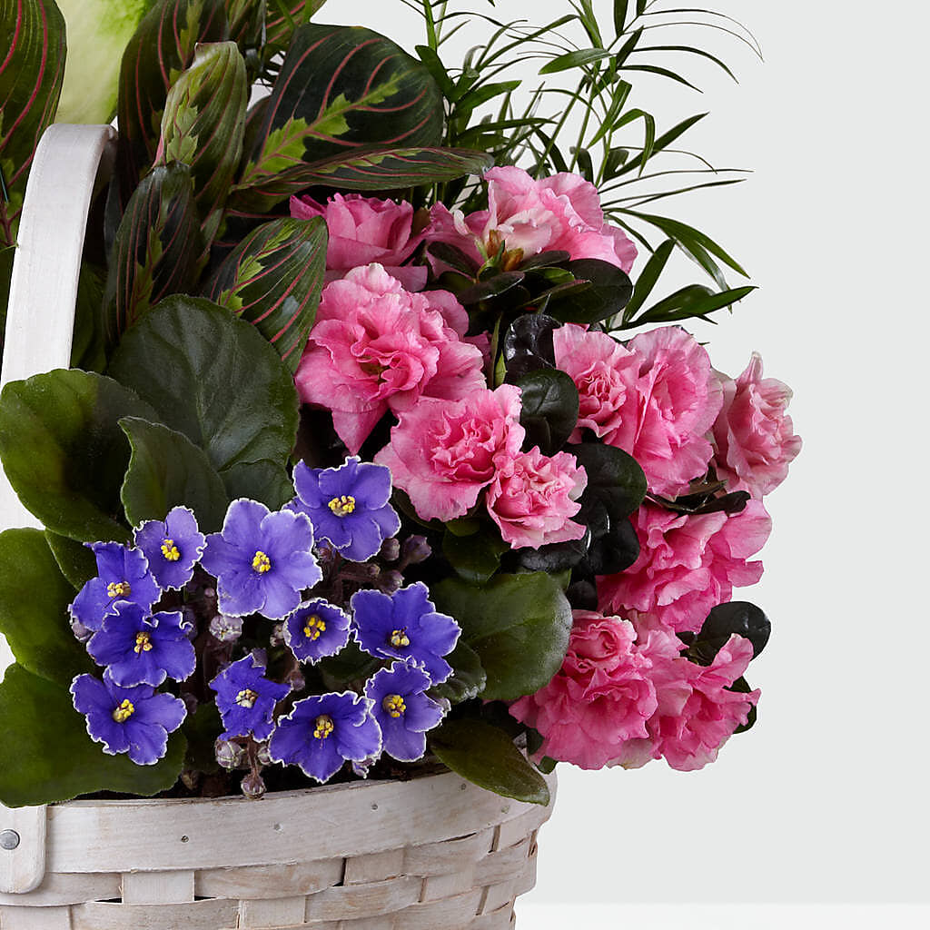 Peaceful Garden Planter –  Acuarela Events Inc, Land O Lakes FL