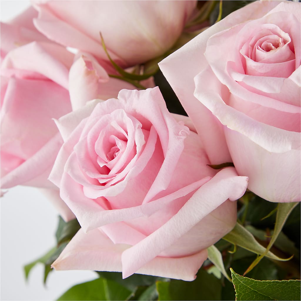 Picture Perfect Pink Rose Bouquet –  Acuarela Events Inc, Land O Lakes FL