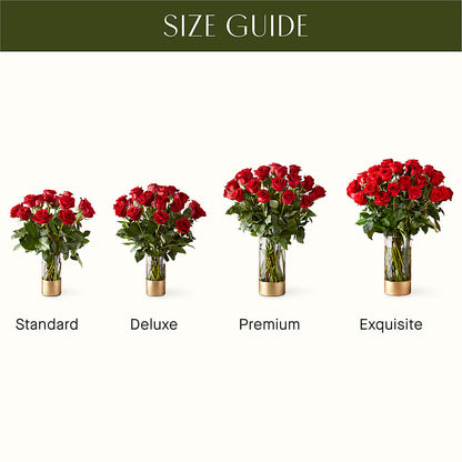 Classic Love Red Rose Bouquet –  Acuarela Events Inc, Land O Lakes FL