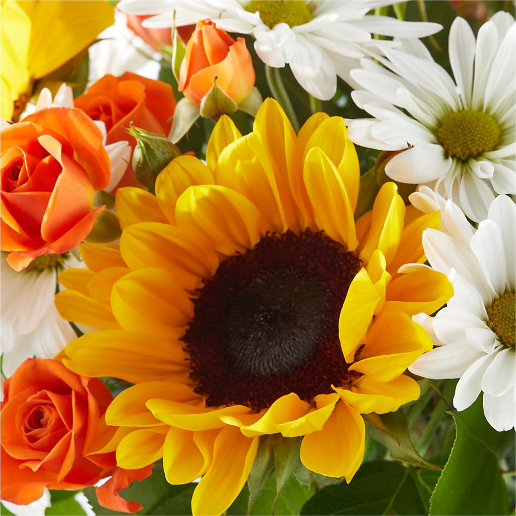 Sun-drenched Blooms Bouquet –  Acuarela Events Inc, Land O Lakes FL