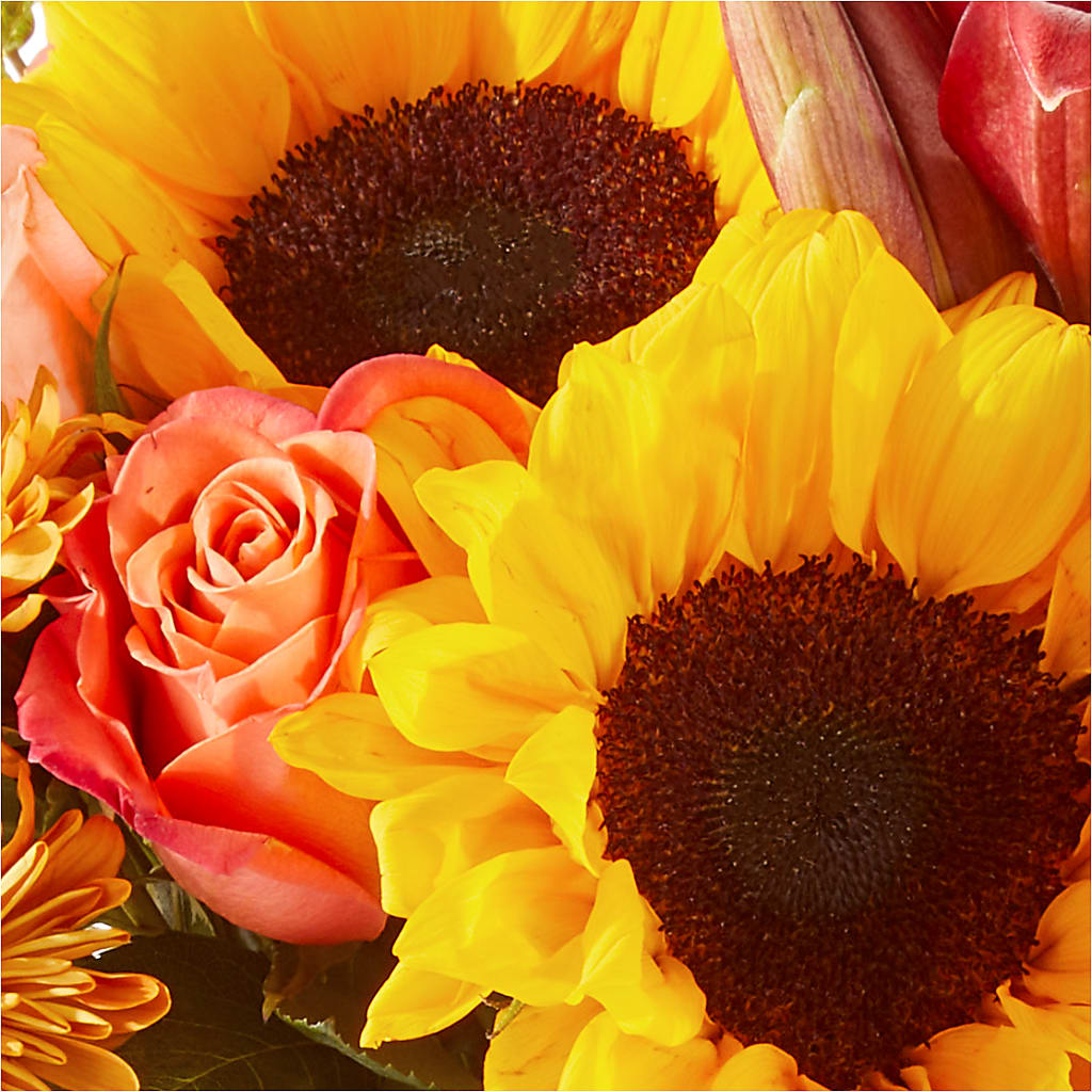 Acorn Lane Bouquet –  Acuarela Events Inc, Land O Lakes FL