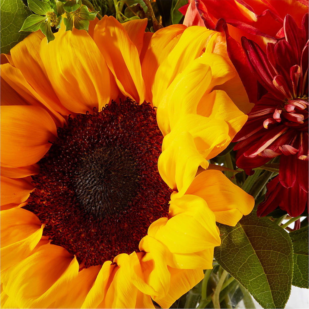 Harvest Festival Bouquet –  Acuarela Events Inc, Land O Lakes FL