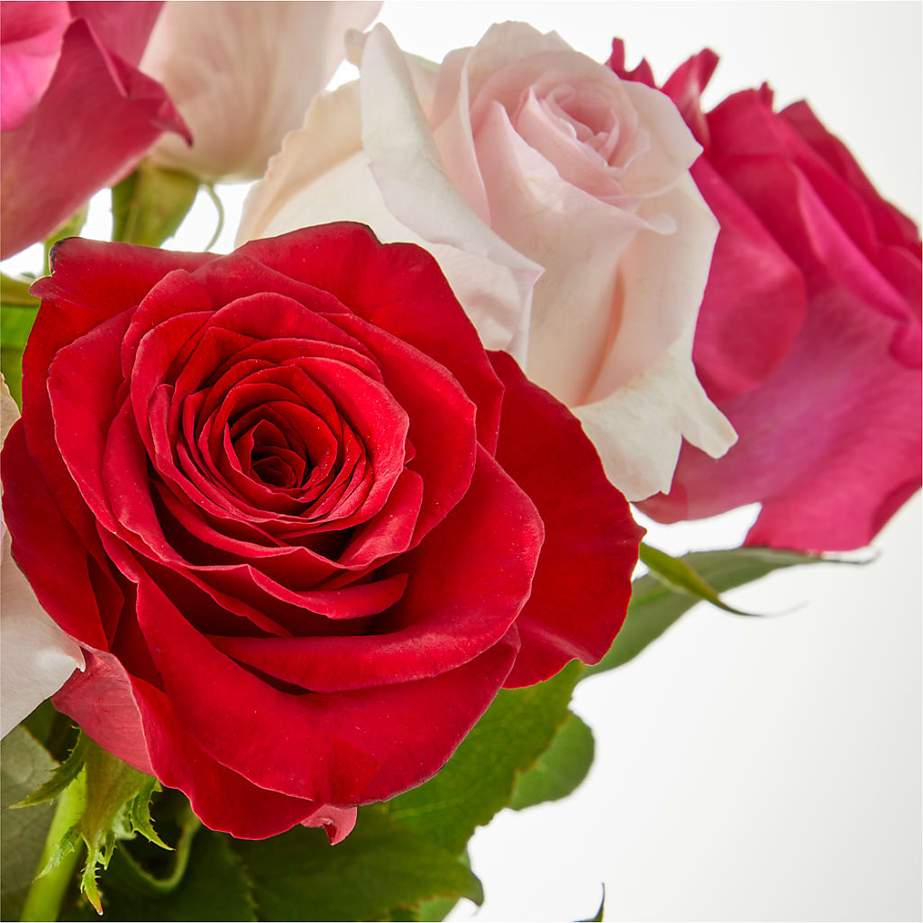 Charming Rose Bouquet –  Acuarela Events Inc, Land O Lakes FL
