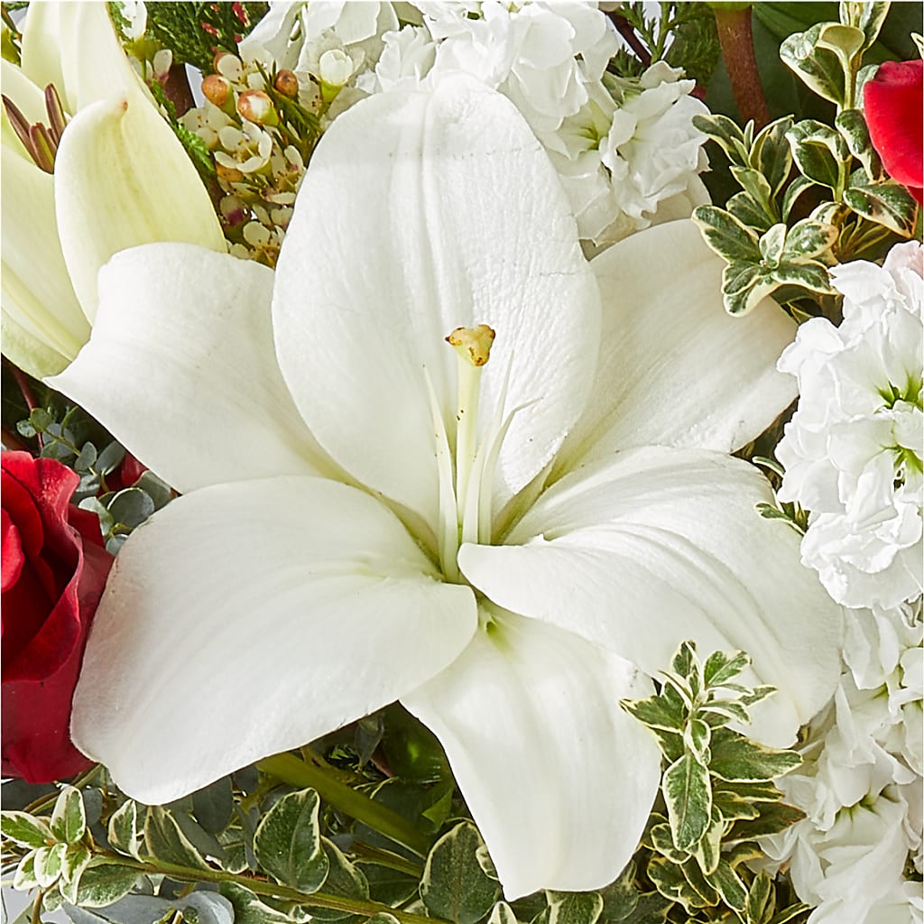 Twinkle Lights Bouquet –  Acuarela Events Inc, Land O Lakes FL