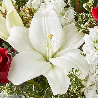 Twinkle Lights Bouquet –  Acuarela Events Inc, Land O Lakes FL