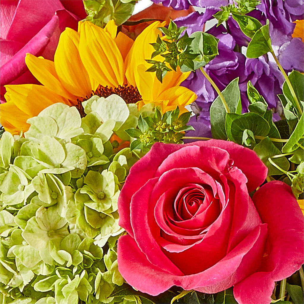 Vibrant Greetings Bouquet –  Acuarela Events Inc, Land O Lakes FL