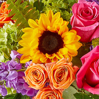 Vibrant Greetings Bouquet –  Acuarela Events Inc, Land O Lakes FL