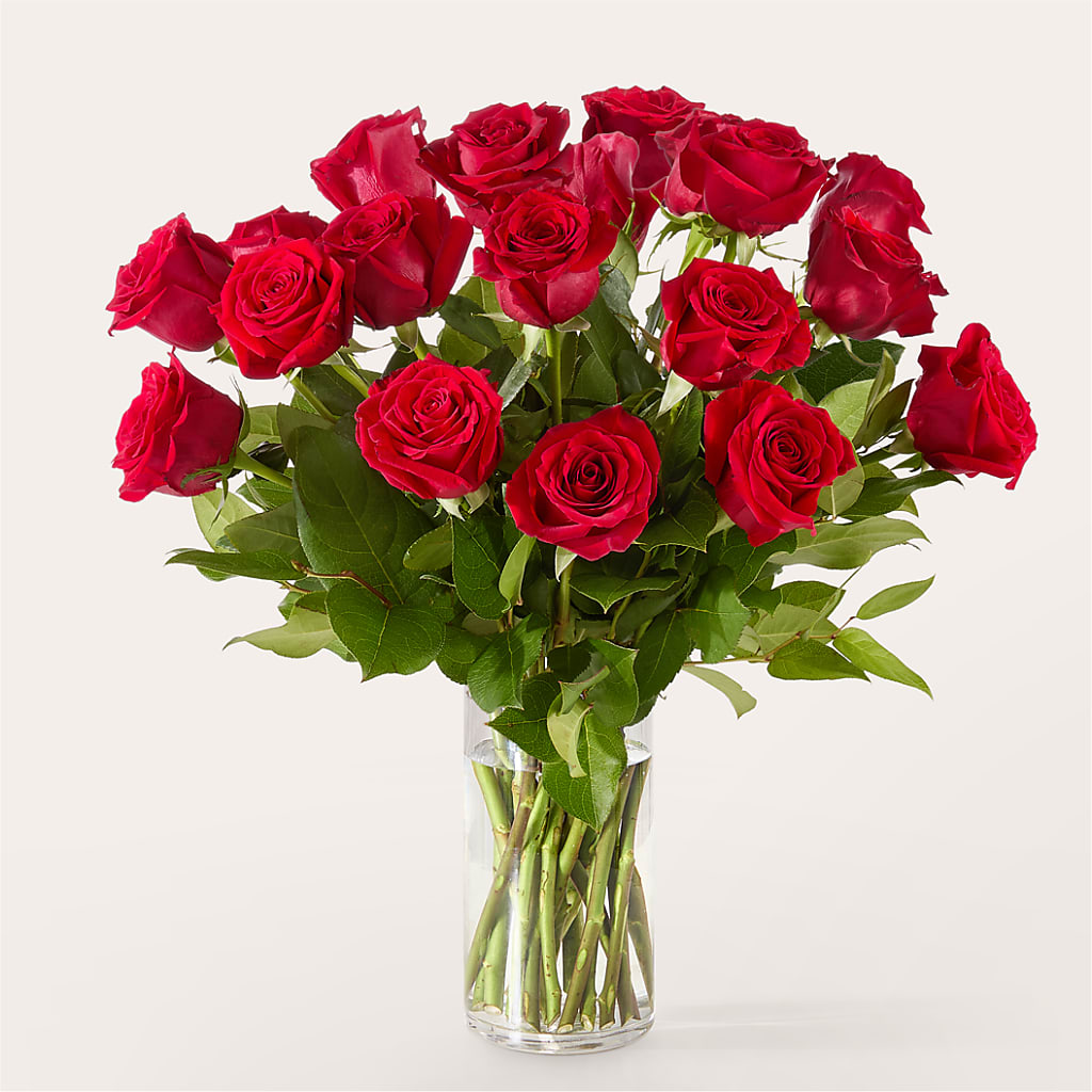The One Red Rose Bouquet –  Acuarela Events Inc, Land O Lakes FL
