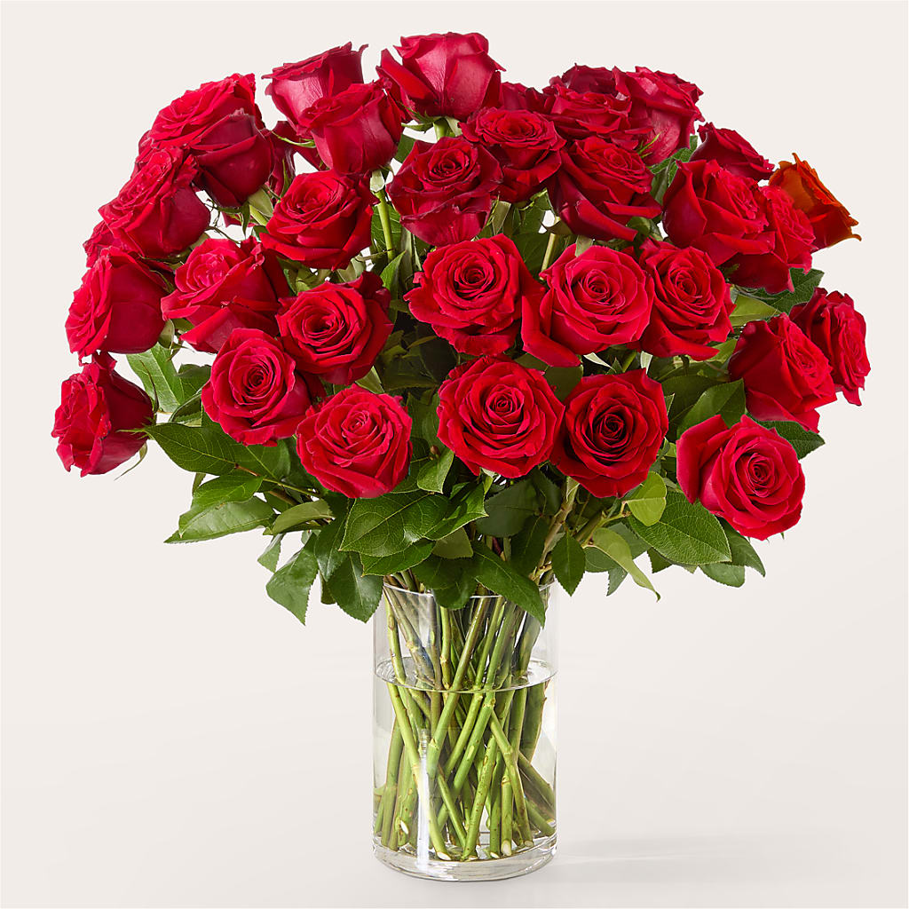 The One Red Rose Bouquet –  Acuarela Events Inc, Land O Lakes FL