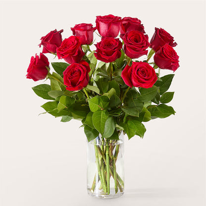 The One Red Rose Bouquet –  Acuarela Events Inc, Land O Lakes FL
