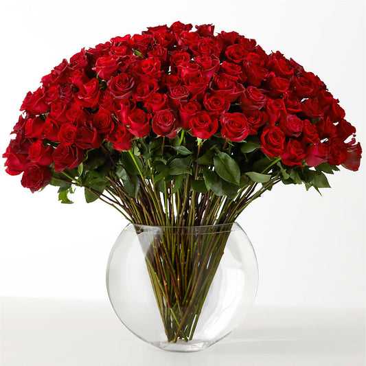 The Idealist –  Acuarela Events Inc, Land O Lakes FL