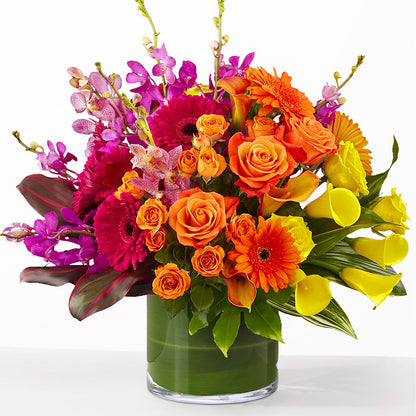 The Mosaic –  Acuarela Events Inc, Land O Lakes FL
