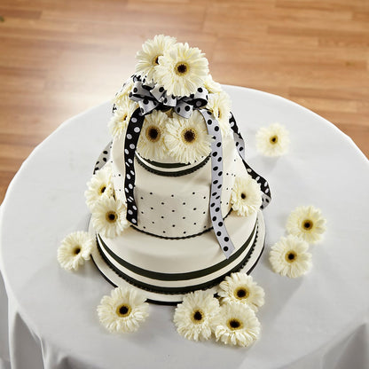Simple Sophistication Cake Décor –  Acuarela Events Inc, Land O Lakes FL