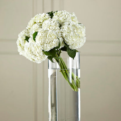White Hydrangea Hand-Tied Bouquet –  Acuarela Events Inc, Land O Lakes FL